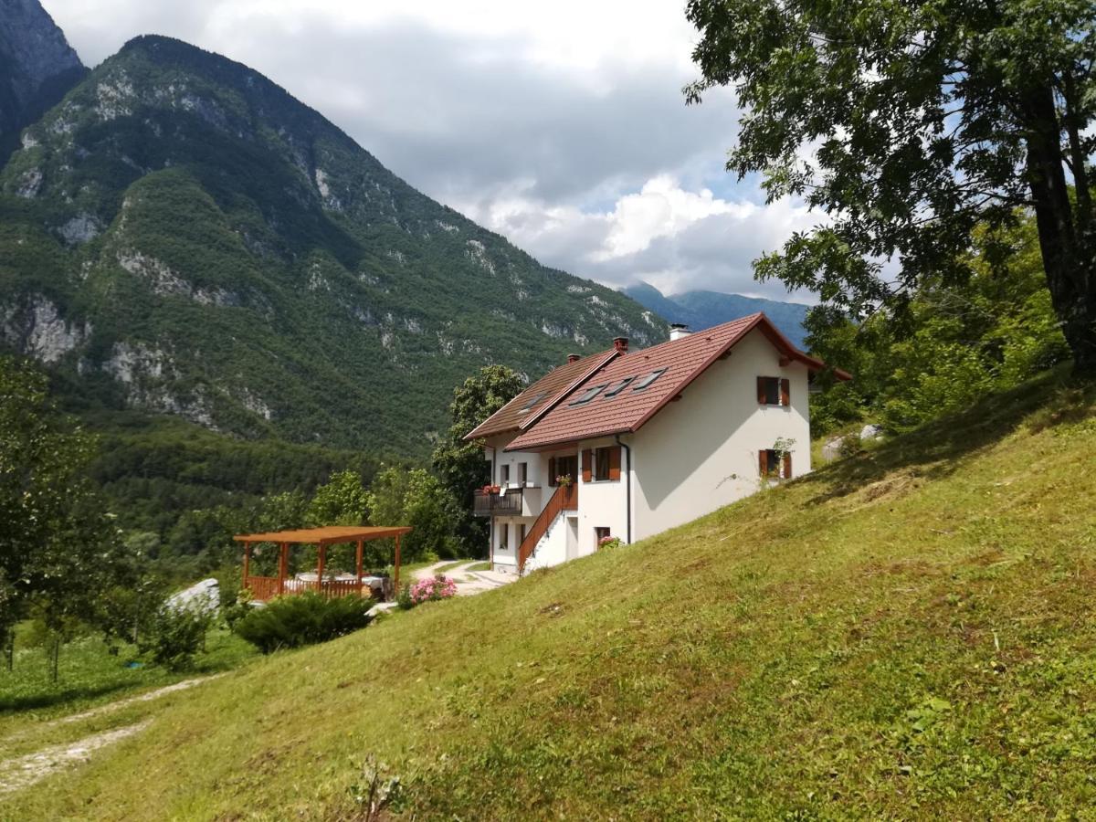Srpenica Apartma Elizabeth 아파트 외부 사진